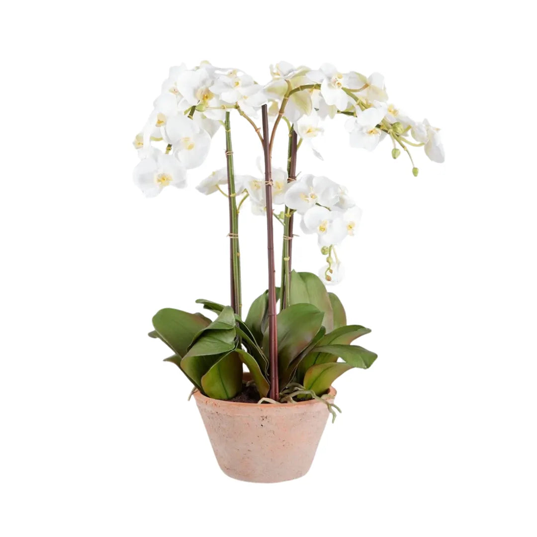 Arranjo de Orquídea Branca Artificial - sem vaso