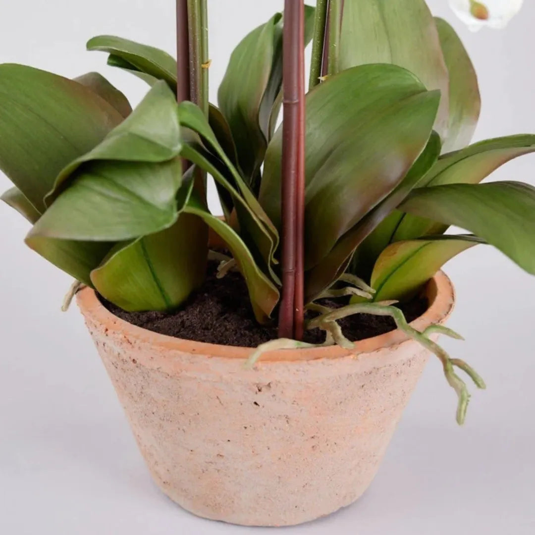 Arranjo de Orquídea Branca Artificial - sem vaso