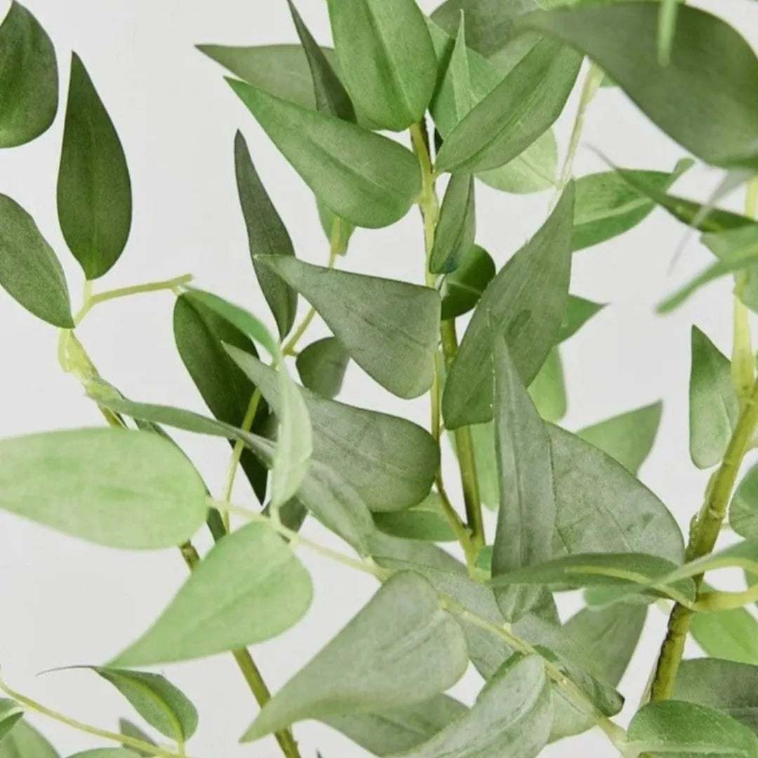 Folhagem Artificial Ruscus Italiano Decoração - sem vaso