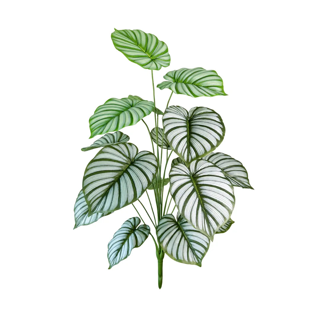 Planta Artificial Calathea Orbifolia - sem vaso