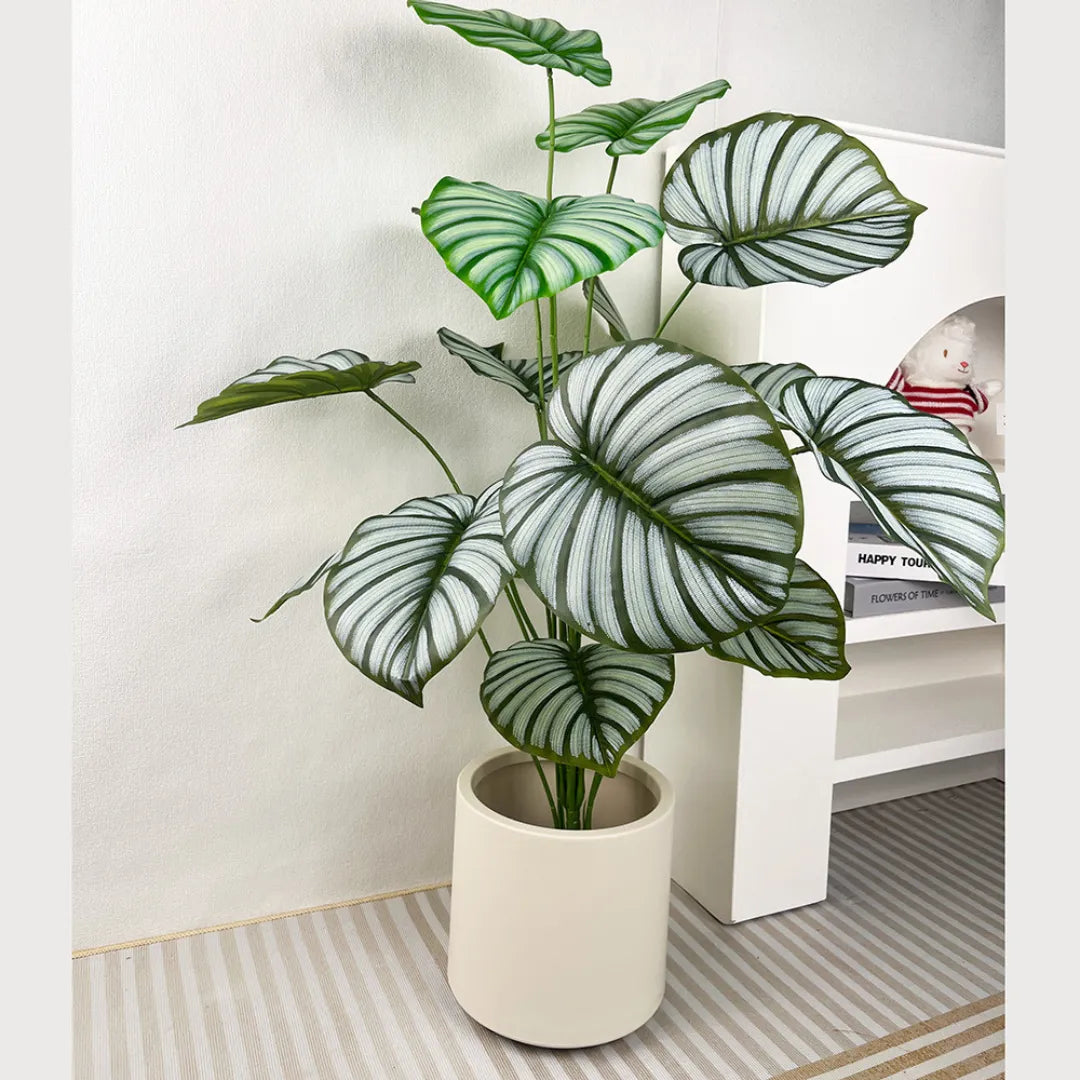 Planta Artificial Calathea Orbifolia - sem vaso