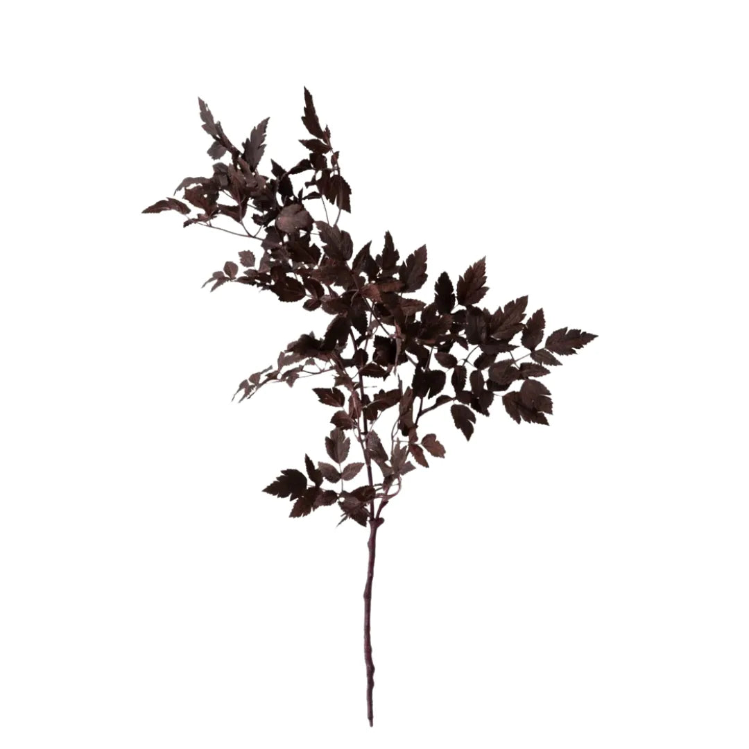 Planta Artificial Cimicifuga com Folhas Roxas - sem vaso