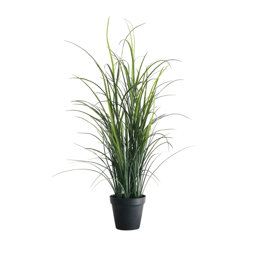 Planta Artificial de Grama para Áreas Externas - sem vaso