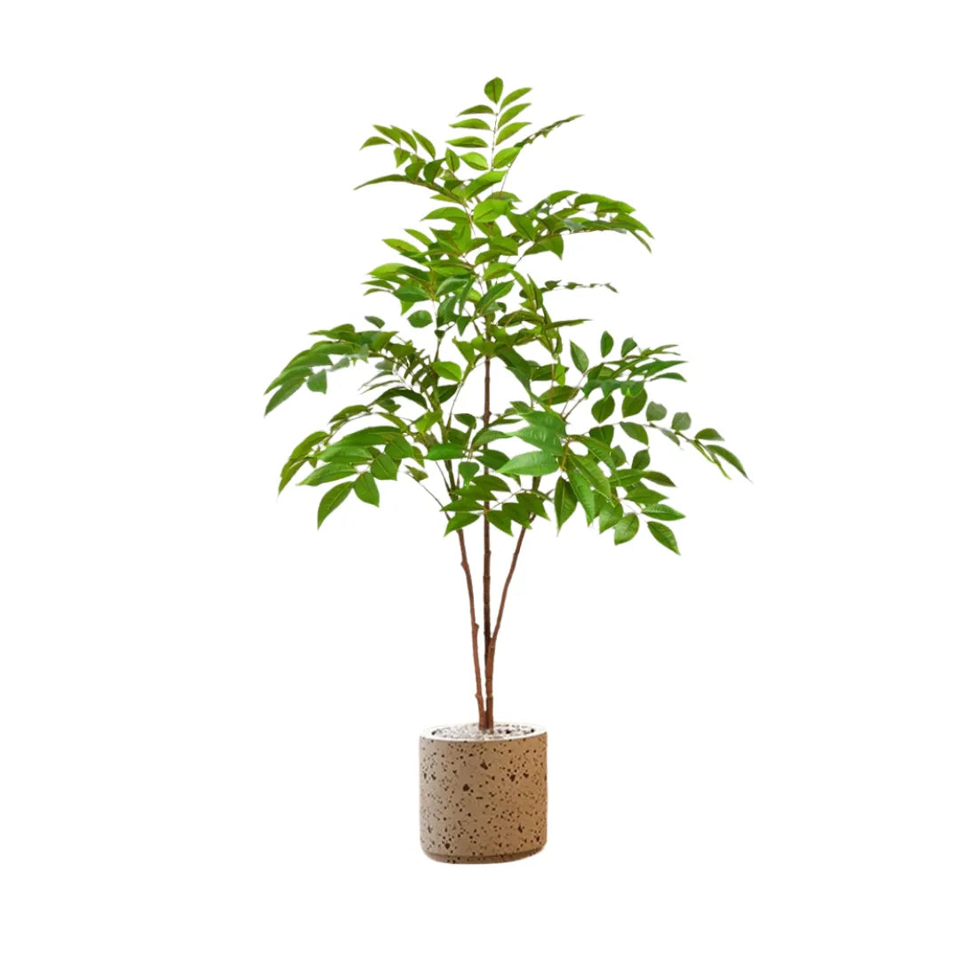 Planta Artificial Ficus de Plástico - sem vaso