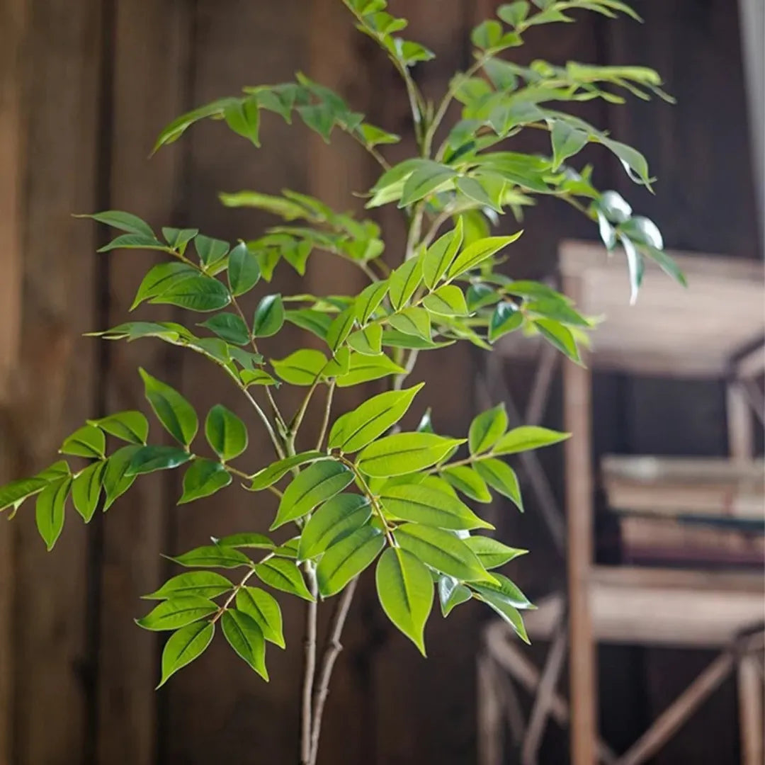 Planta Artificial Ficus de Plástico - sem vaso