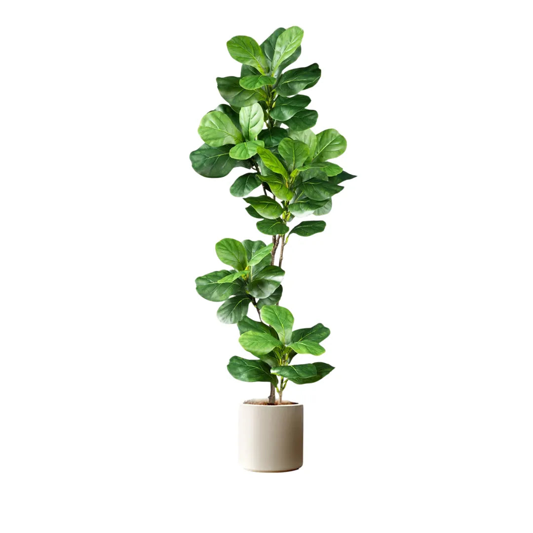 Planta Artificial Ficus para Decoração - sem vaso