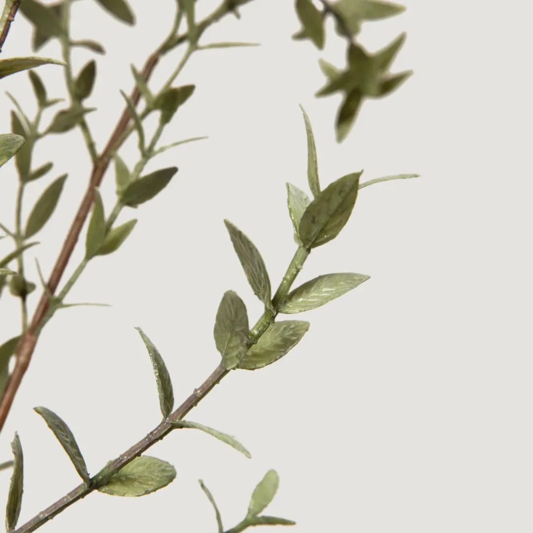 Planta Artificial Folha de Eucalipto para Decoração - sem vaso
