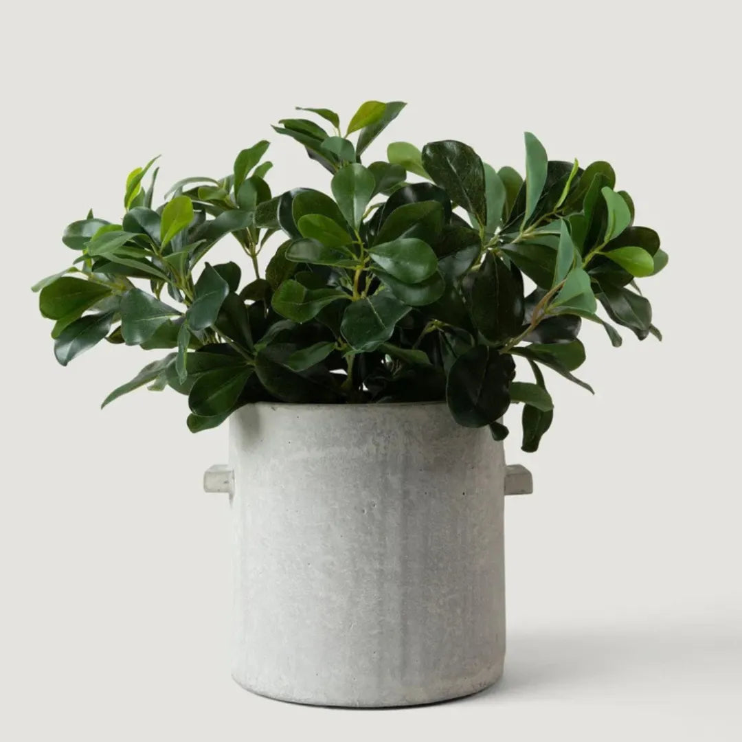 Planta Artificial Folhagem de Ligustro Realista - sem vaso