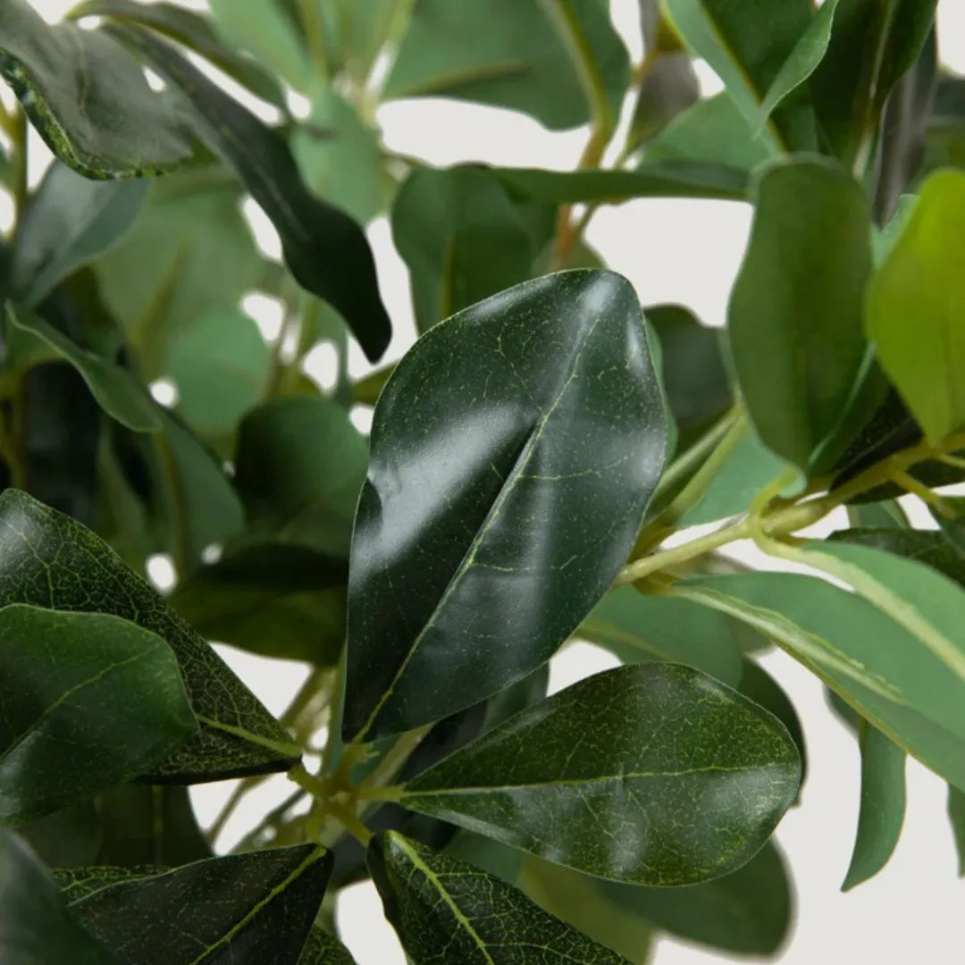 Planta Artificial Folhagem de Ligustro Realista - sem vaso