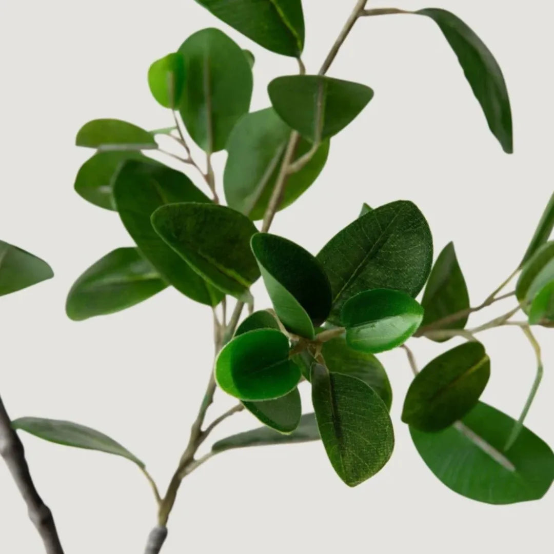 Planta Artificial Ramo de Ficus Italiano - sem vaso