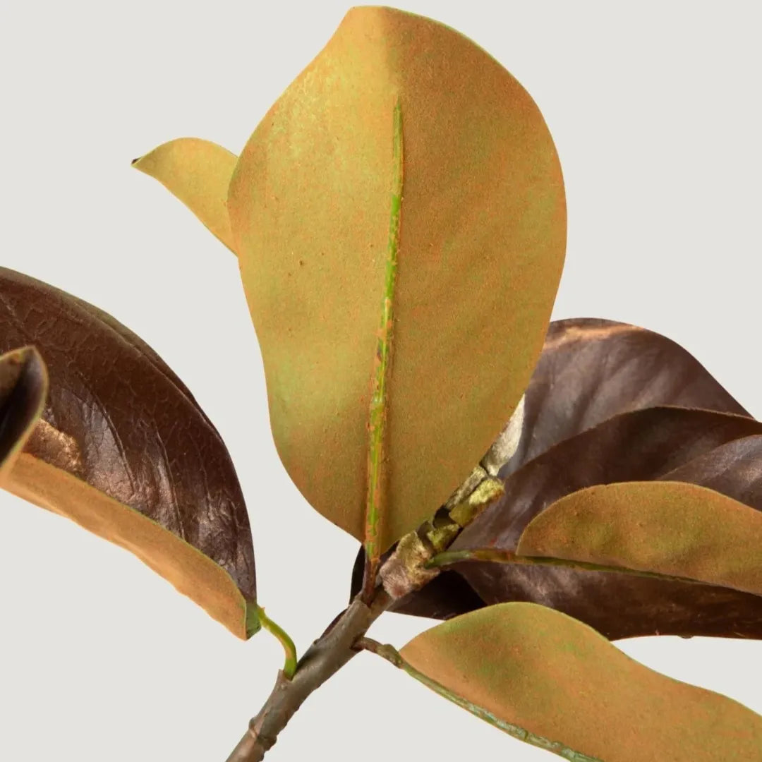 Planta Artificial Ramo de Folhas de Magnólia Envelhecida - sem vaso