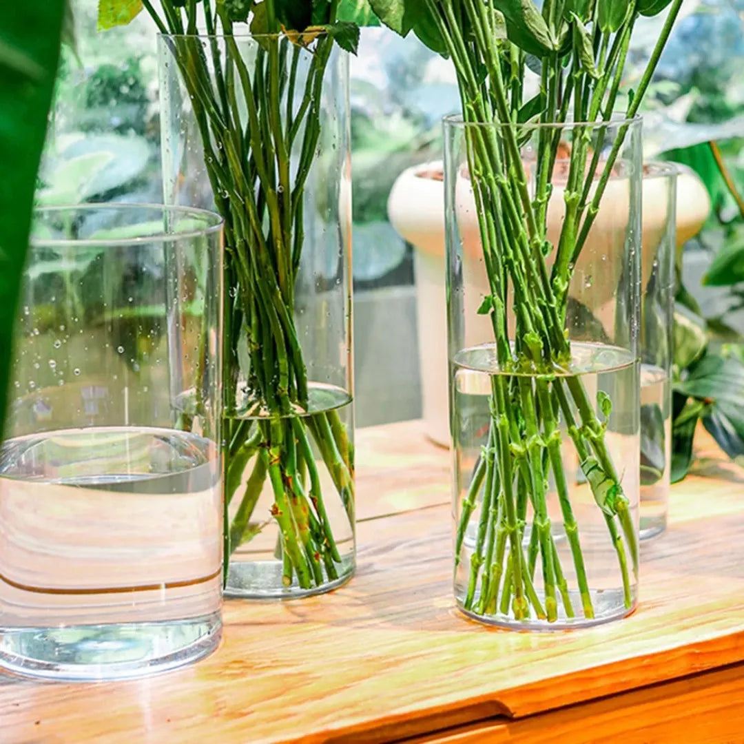 Vaso de Planta Acrílico Transparente