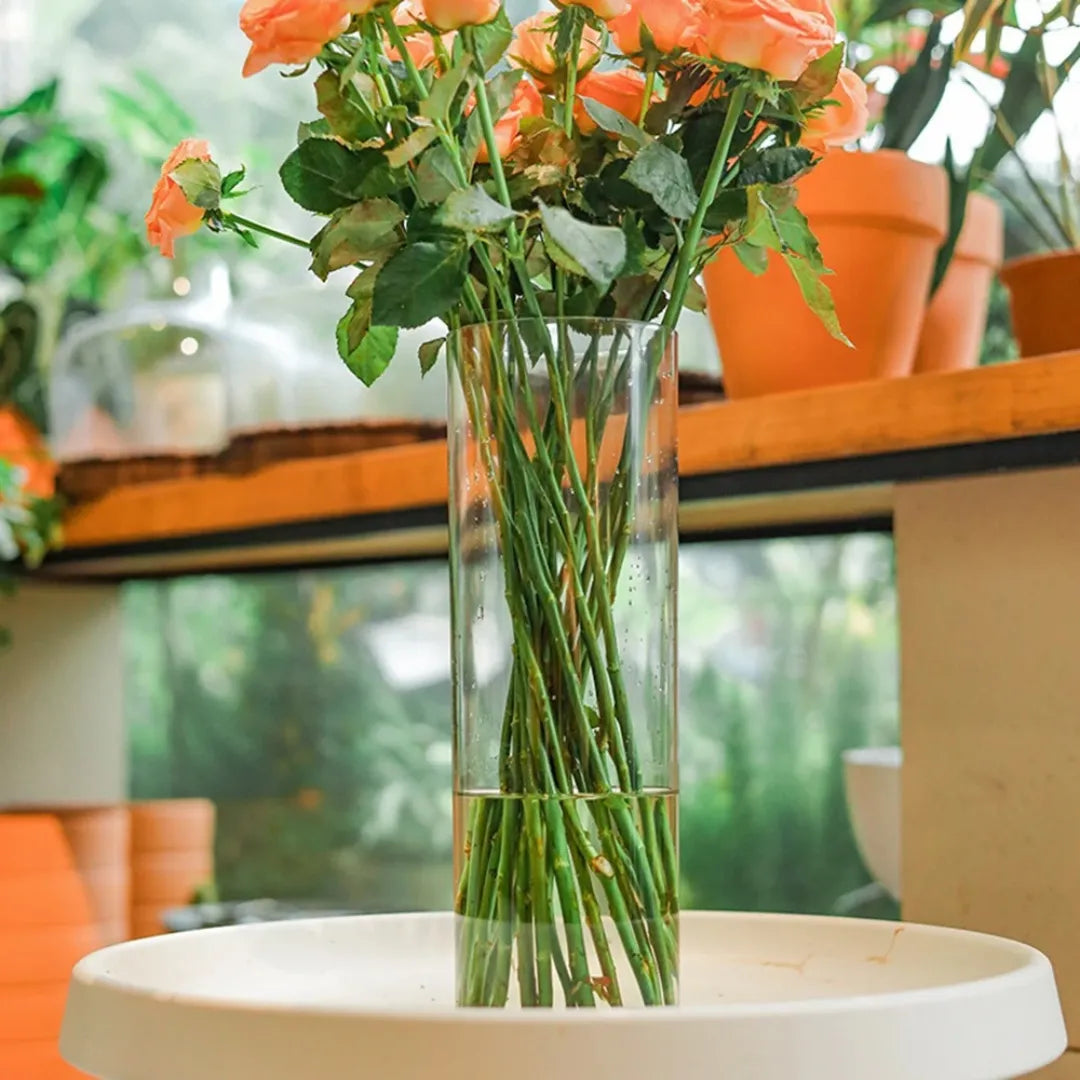 Vaso de Planta Acrílico Transparente